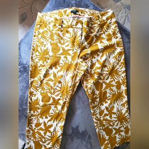 J. Crew Plus size ankle pants